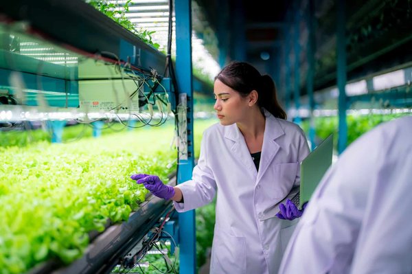 How Does Urban Vertical Farming Contribute to UK Food Security and Sustainability?